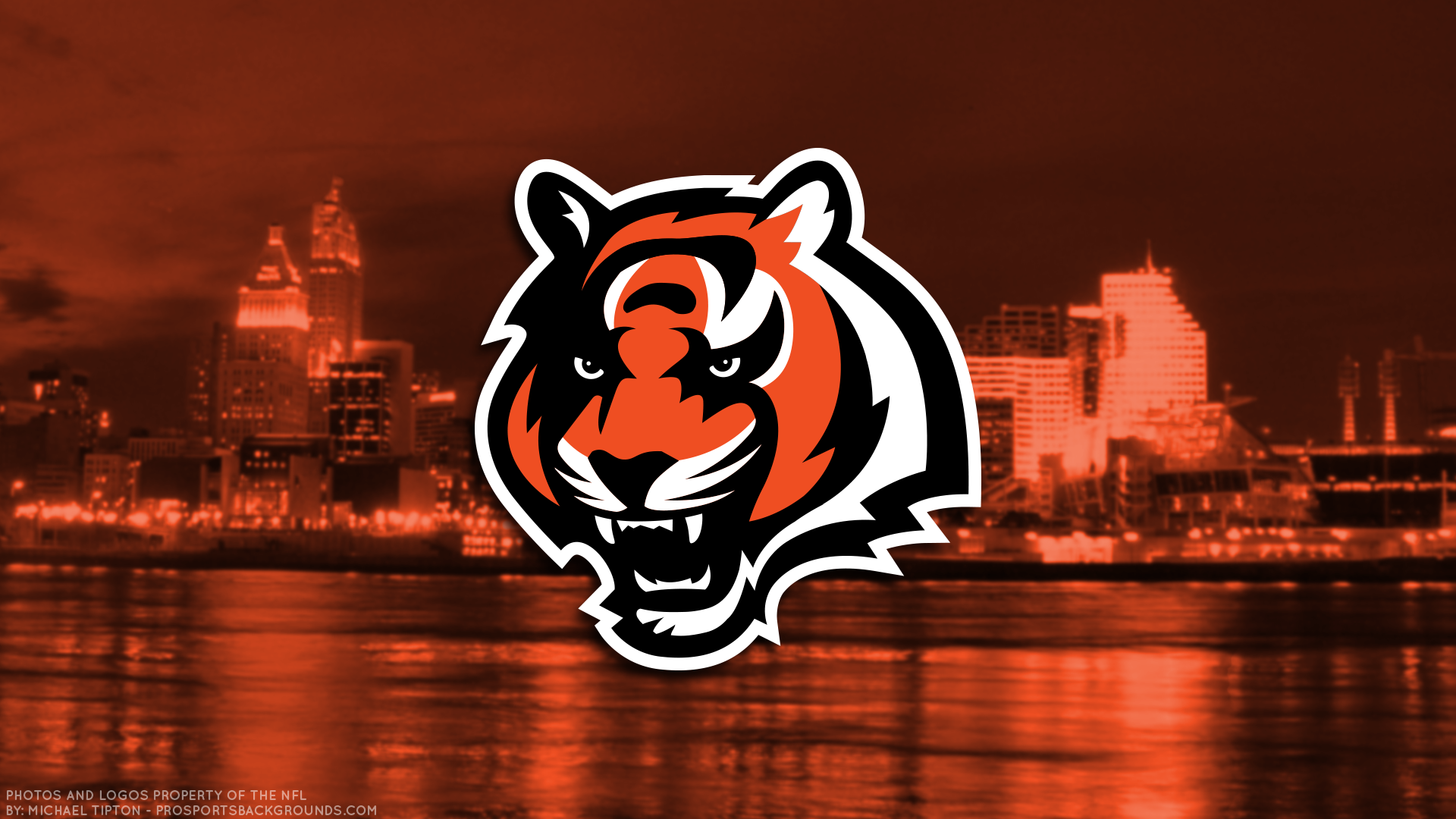 Cincinnati Bengals Wallpapers - Cincinnati Bengals , HD Wallpaper & Backgrounds