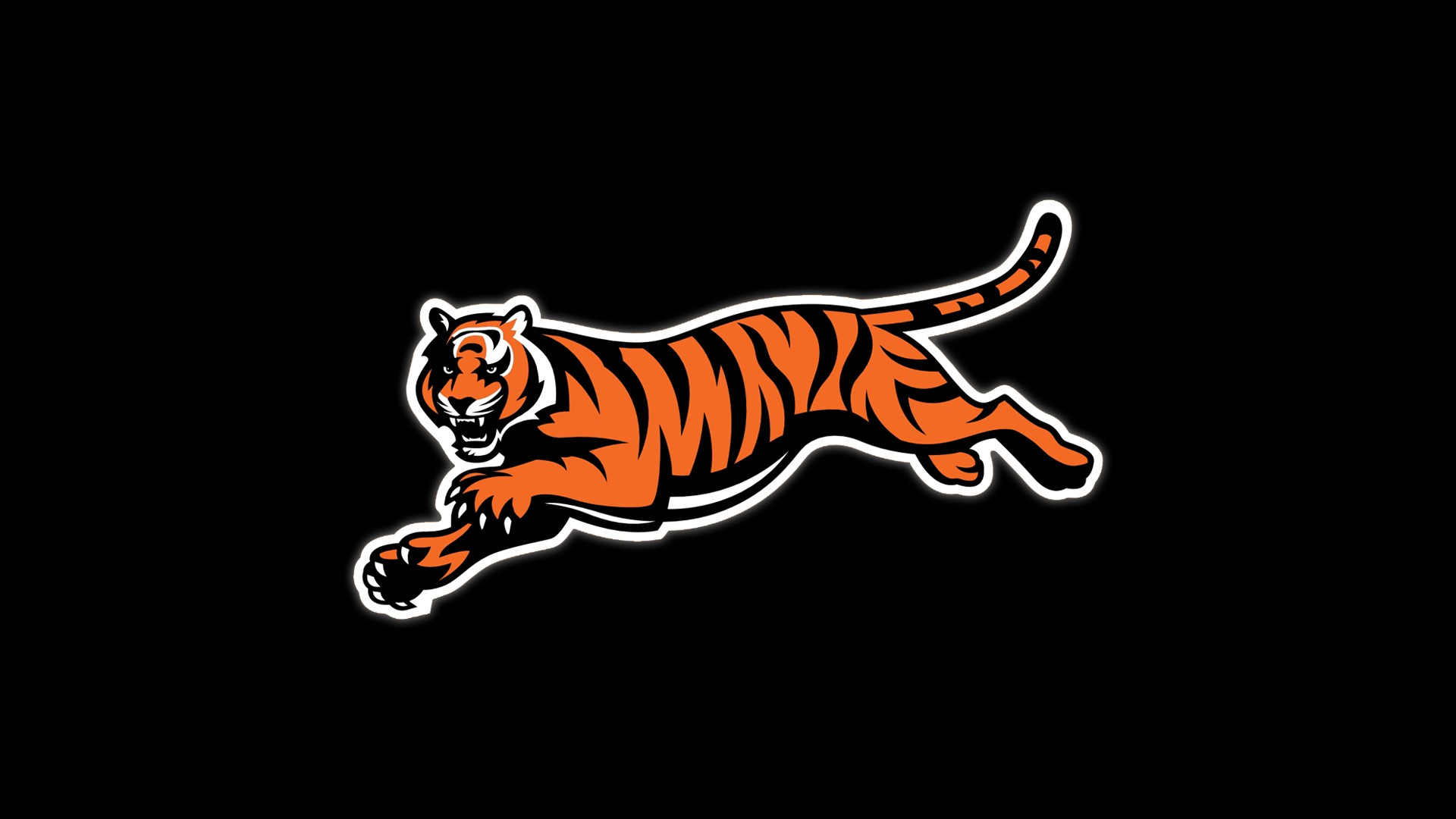 Cincinnati Bengals Backgrounds Hd - Cincinnati Bengals Live , HD Wallpaper & Backgrounds
