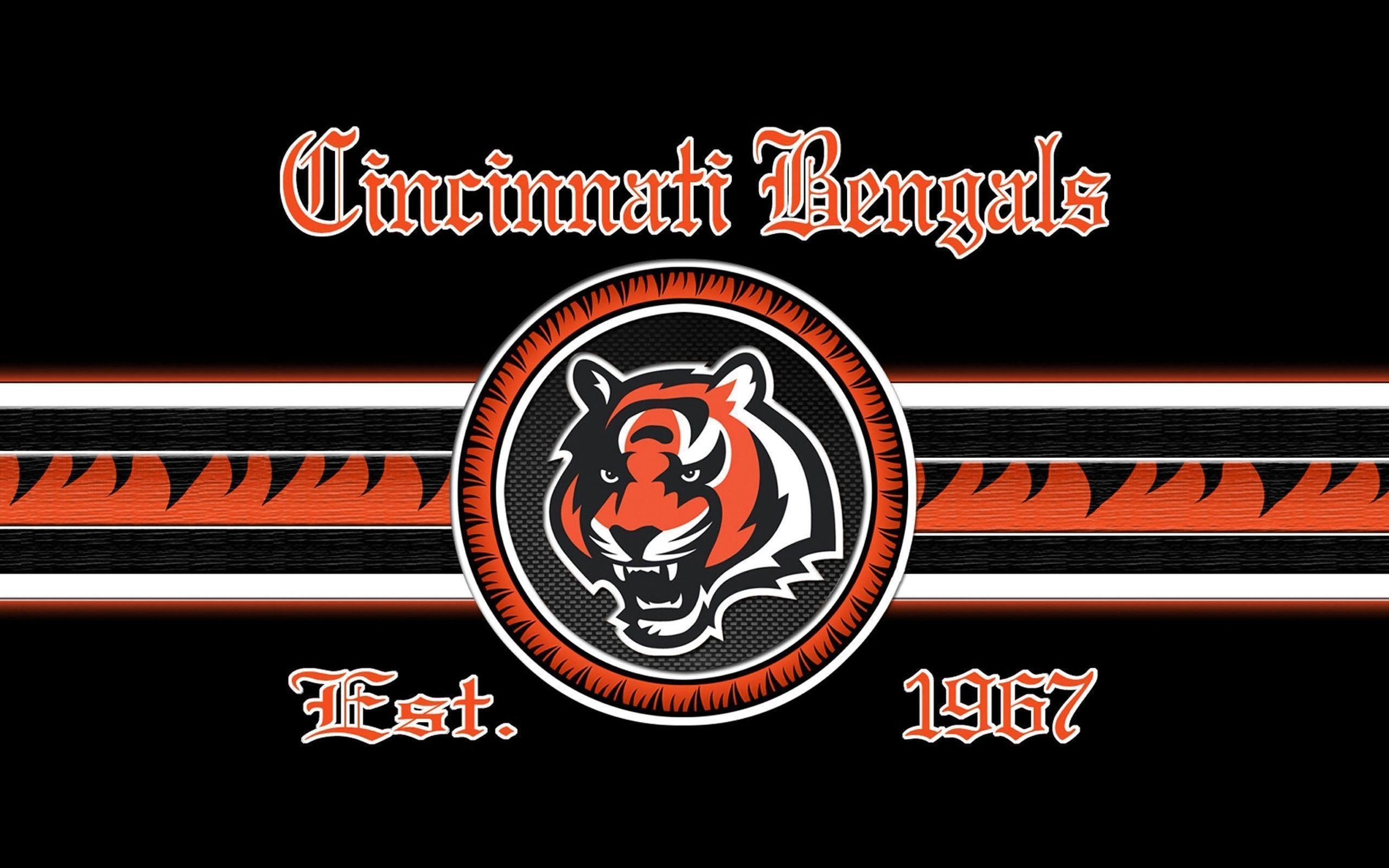 2560x1600, Cincinnati Bengals Wallpaper - Nfl Cincinnati Bengals Logo , HD Wallpaper & Backgrounds