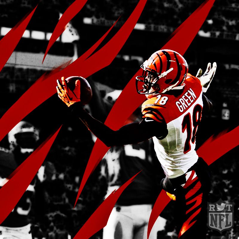 Cincinnati Bengals , HD Wallpaper & Backgrounds