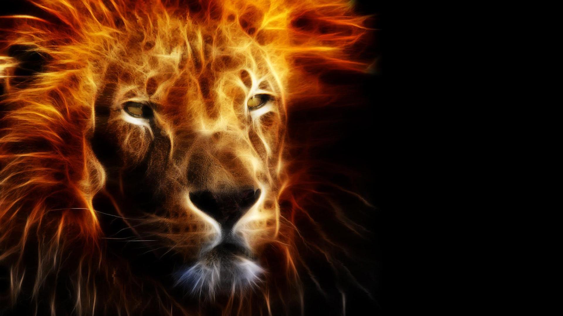 Leo Wallpapers Wallpaper High Definition High Quality - Fire Black Background Hd , HD Wallpaper & Backgrounds