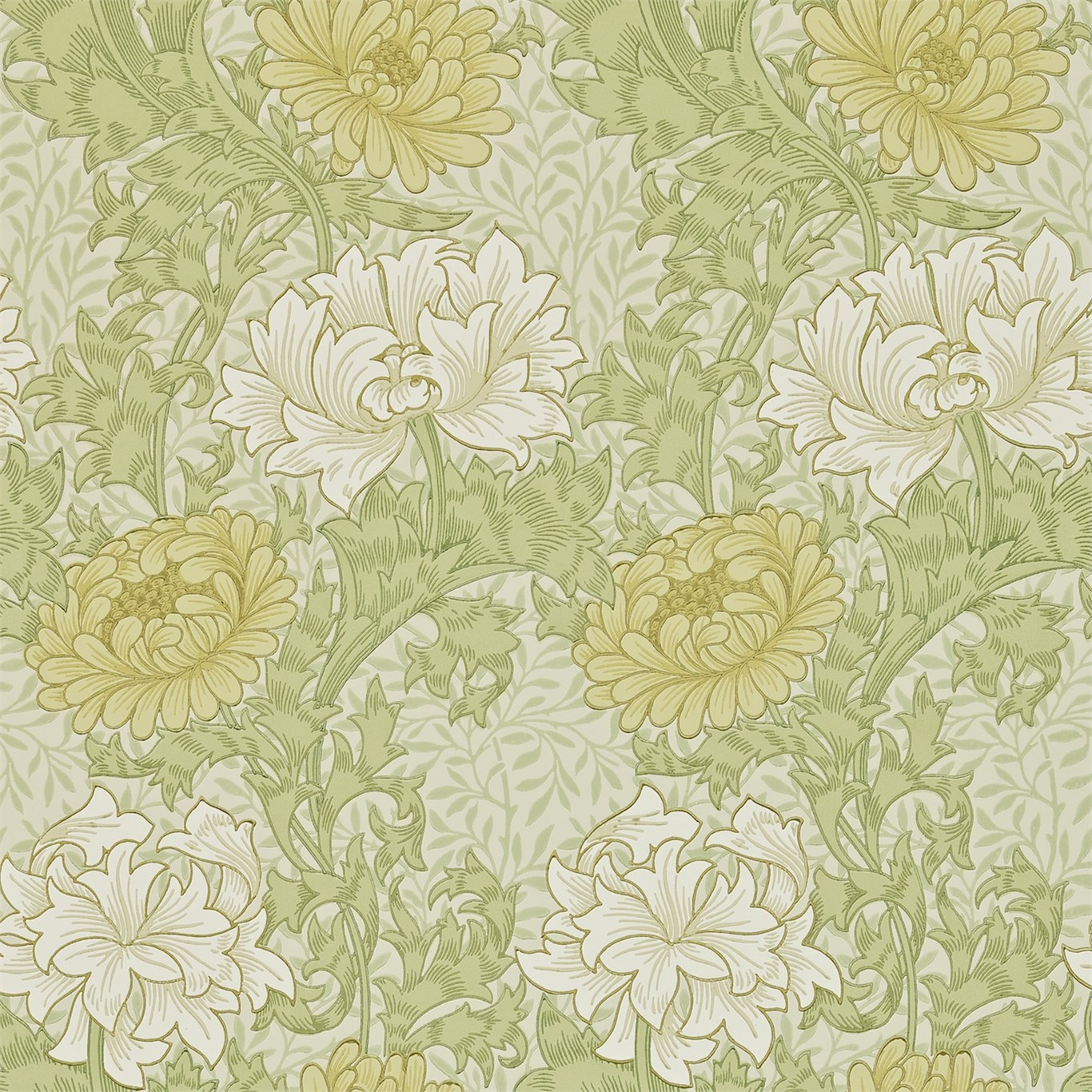 Chrysanthemum, A Wallpaper By Morris & Co - William Morris Wallpaper Chrysanthemum , HD Wallpaper & Backgrounds