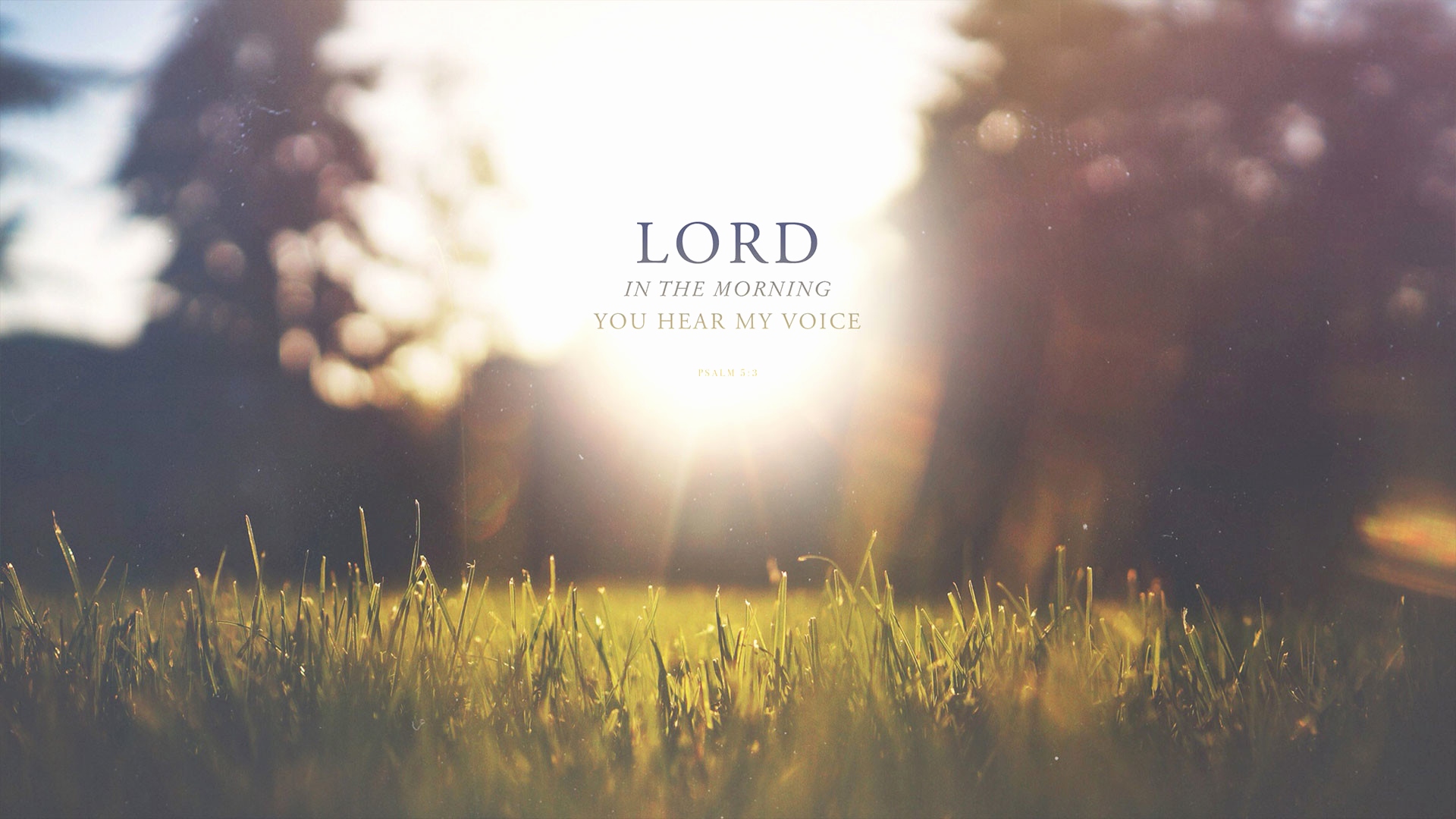 Lords Prayer , HD Wallpaper & Backgrounds