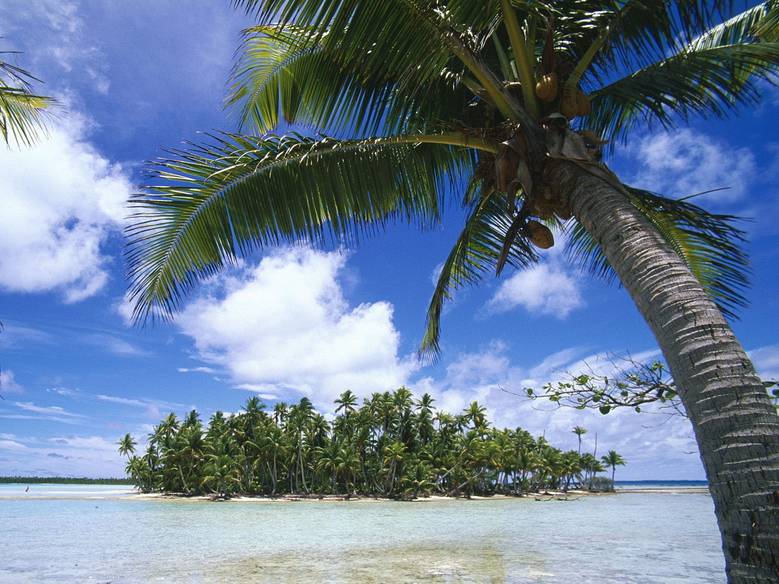 Beach Themed Wallpaper - Tuamotu Islands , HD Wallpaper & Backgrounds