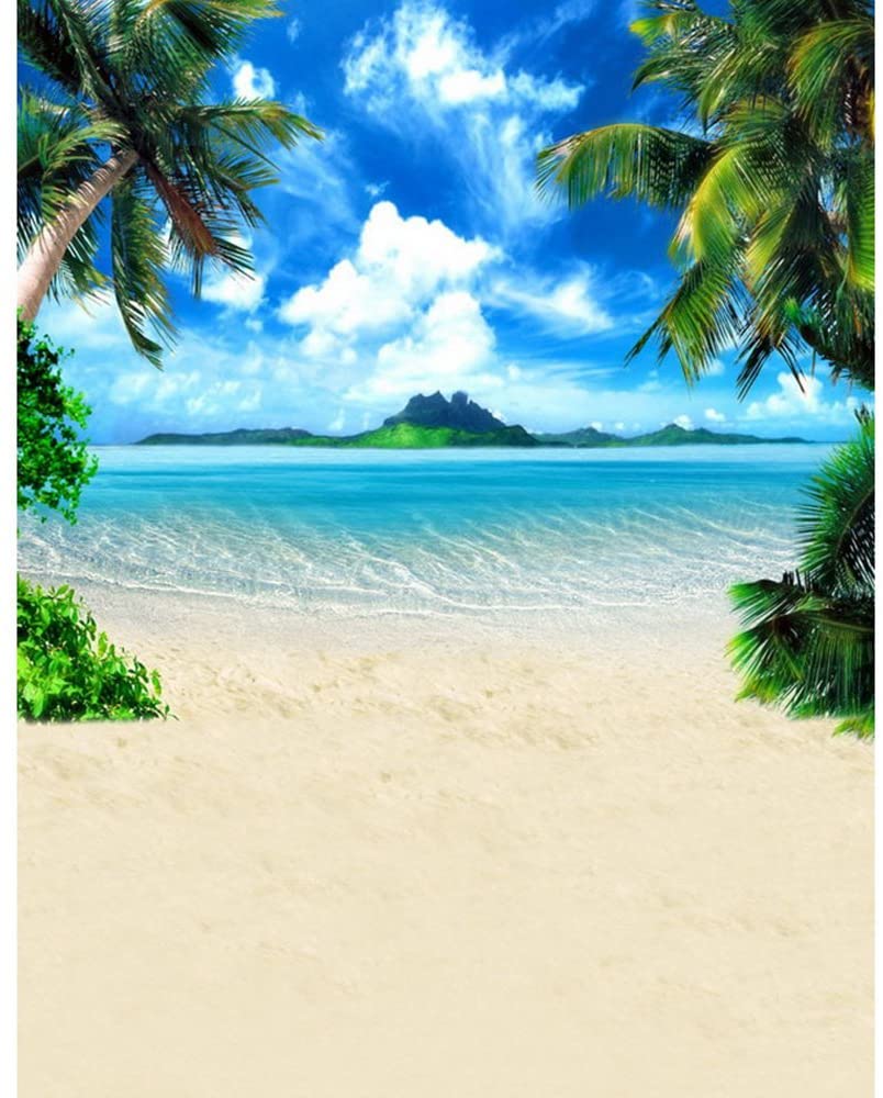 Beach Tropical , HD Wallpaper & Backgrounds