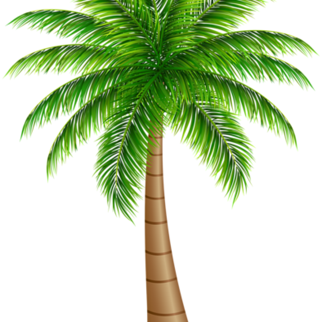 Balloon Hatenylo Com Tree - Date Palm Tree Png , HD Wallpaper & Backgrounds
