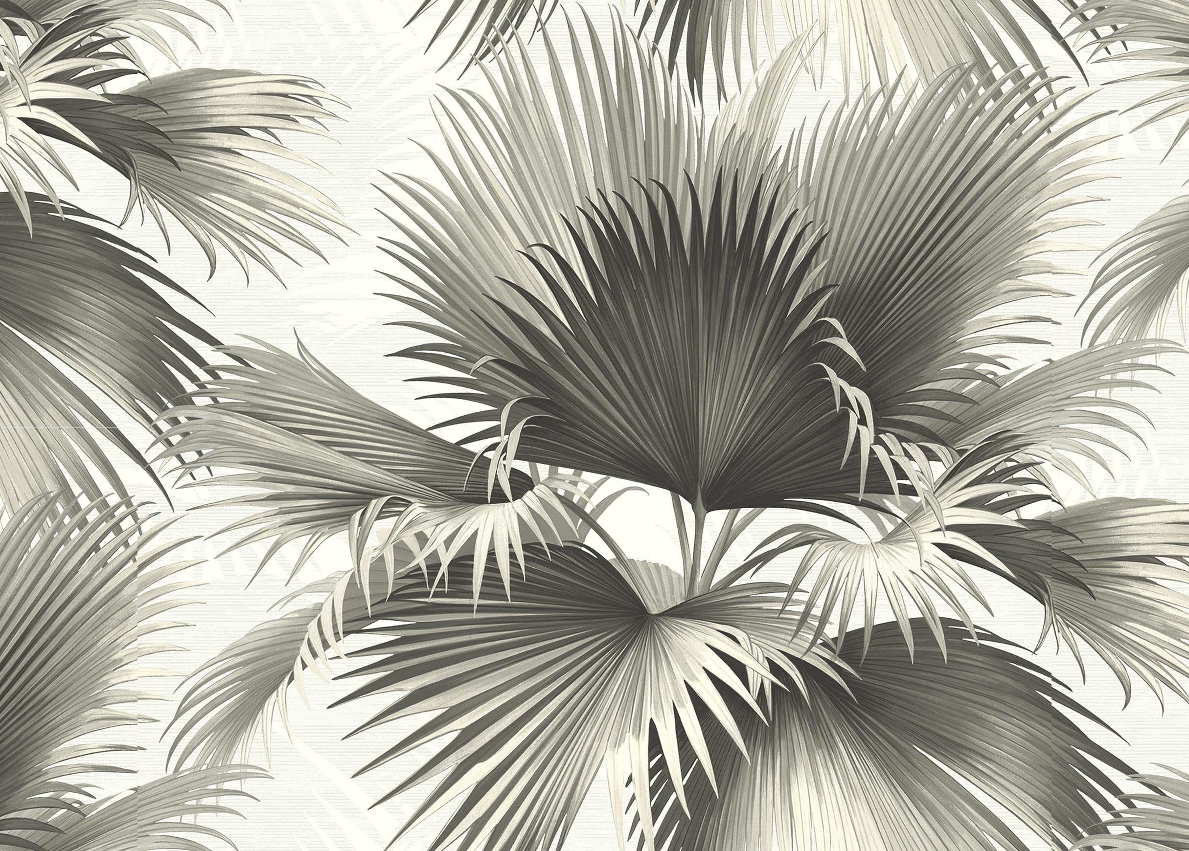 Blue Palm , HD Wallpaper & Backgrounds