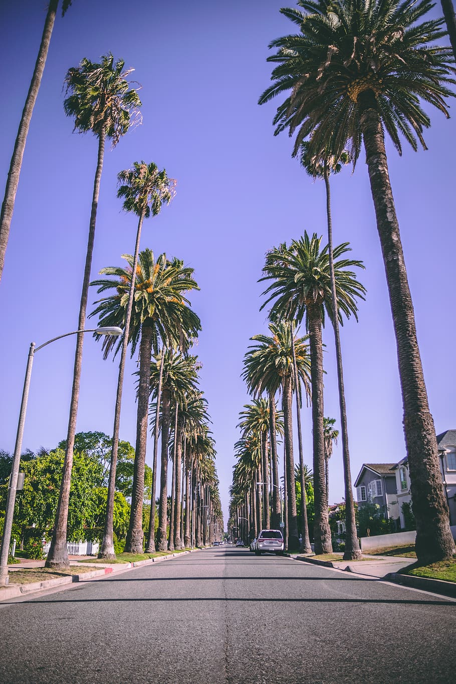 Rodeo Drive, United States, Beverly Hills, Dope, Cool, - Rodeo Drive Iphone , HD Wallpaper & Backgrounds