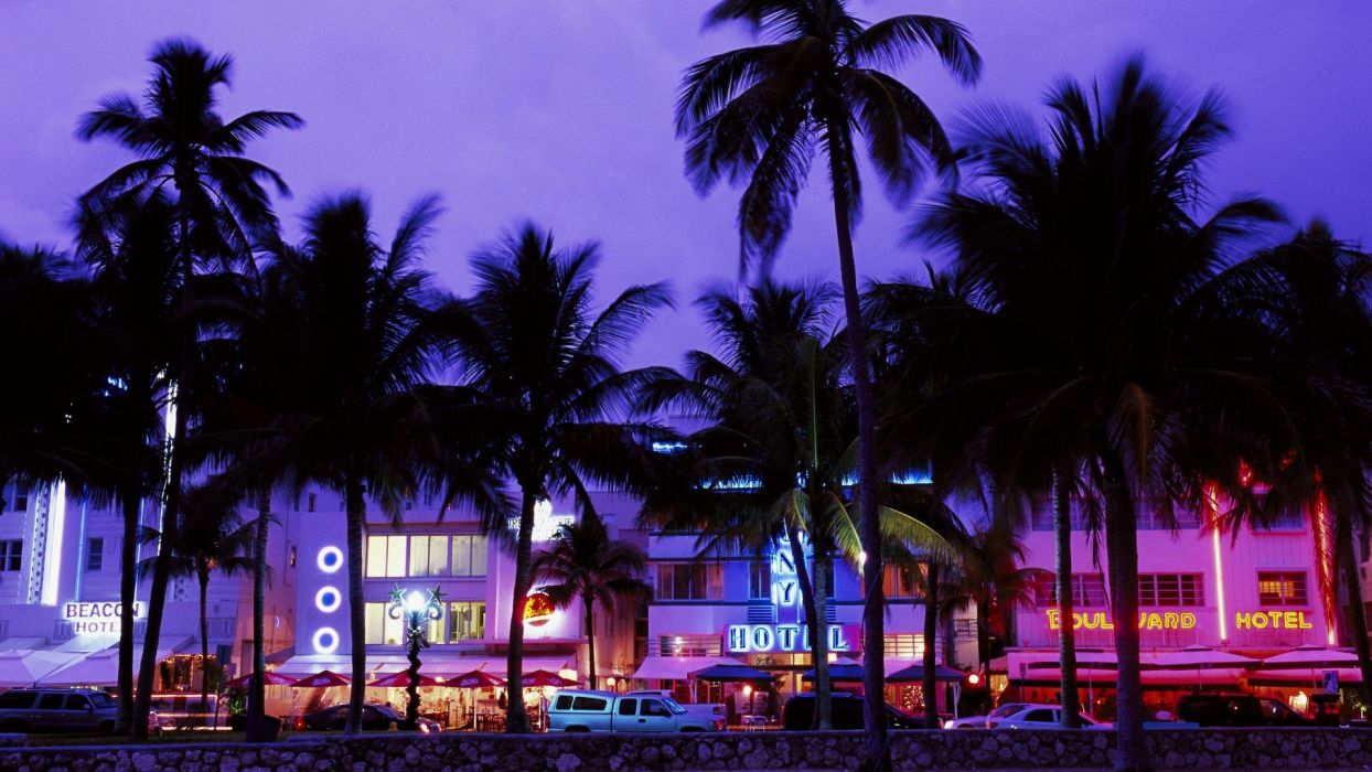 Cars Miami Street Lights Palm Trees Hotels Wallpaper - Miami Backgrounds , HD Wallpaper & Backgrounds