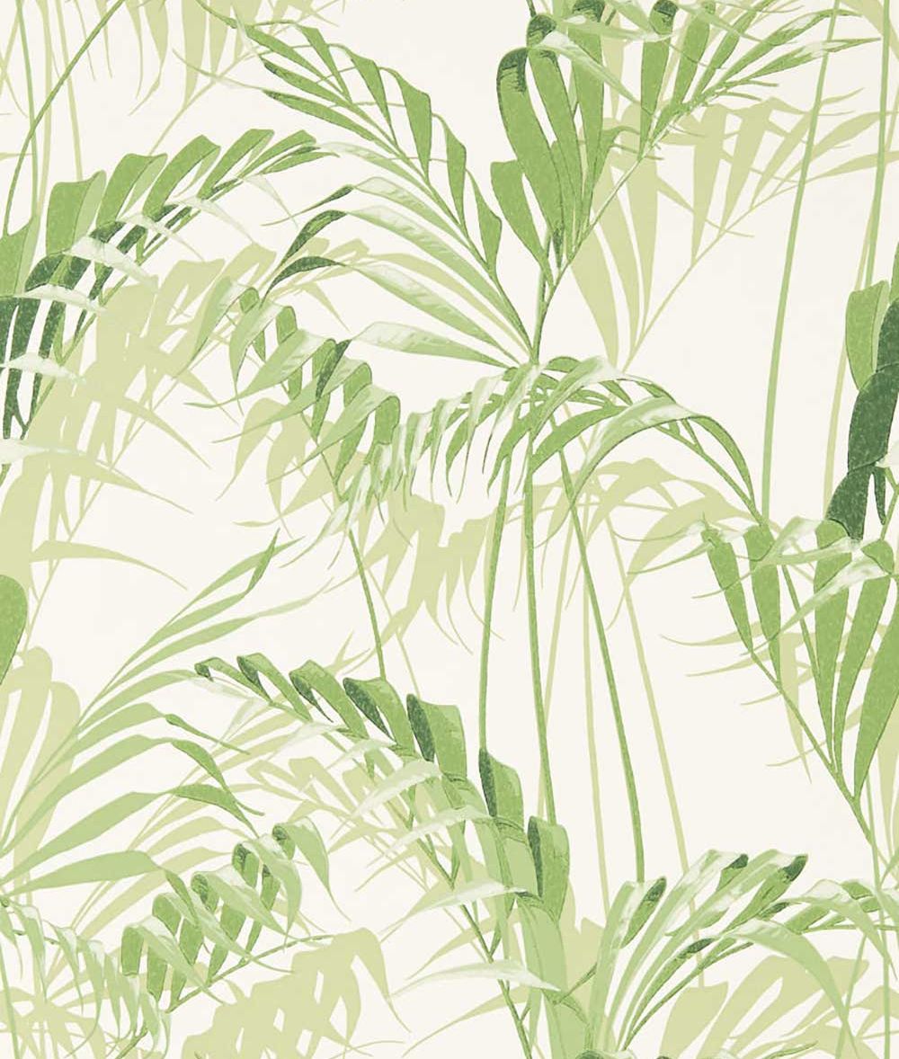 Palm Print Wallpaper By Sanderson , HD Wallpaper & Backgrounds