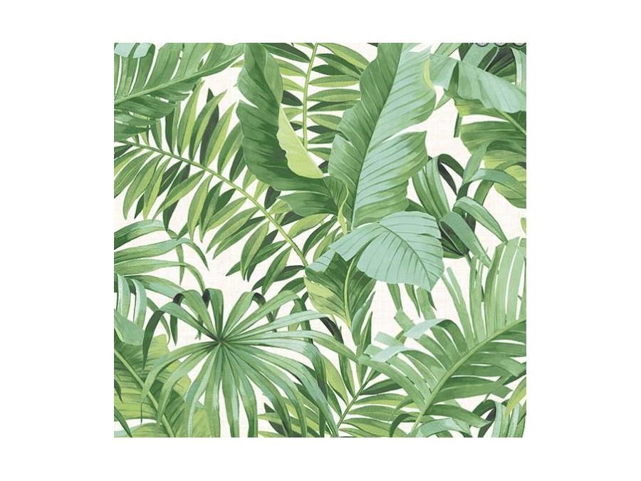 Palm Leaf Print , HD Wallpaper & Backgrounds
