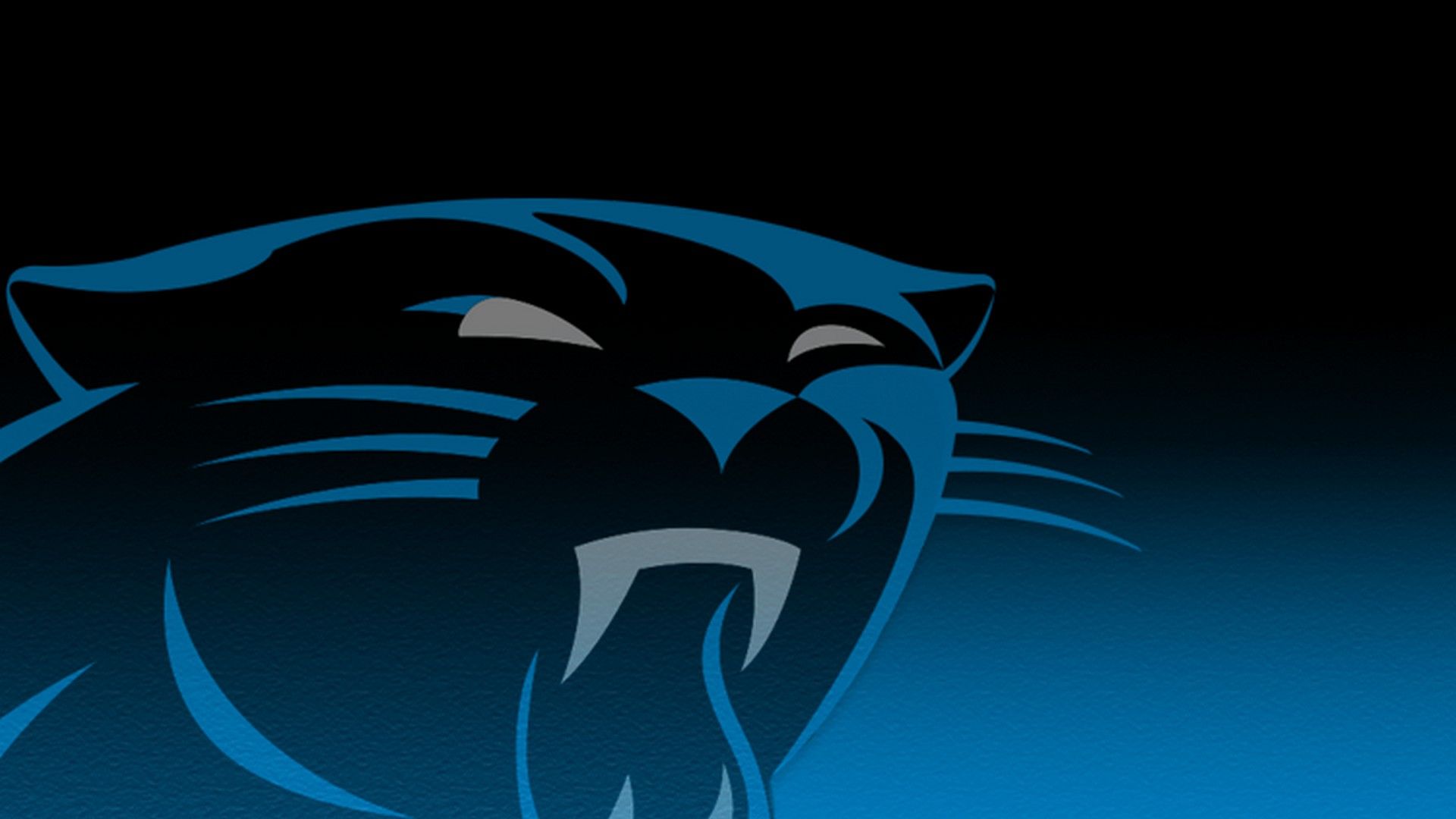 Carolina Panthers , HD Wallpaper & Backgrounds