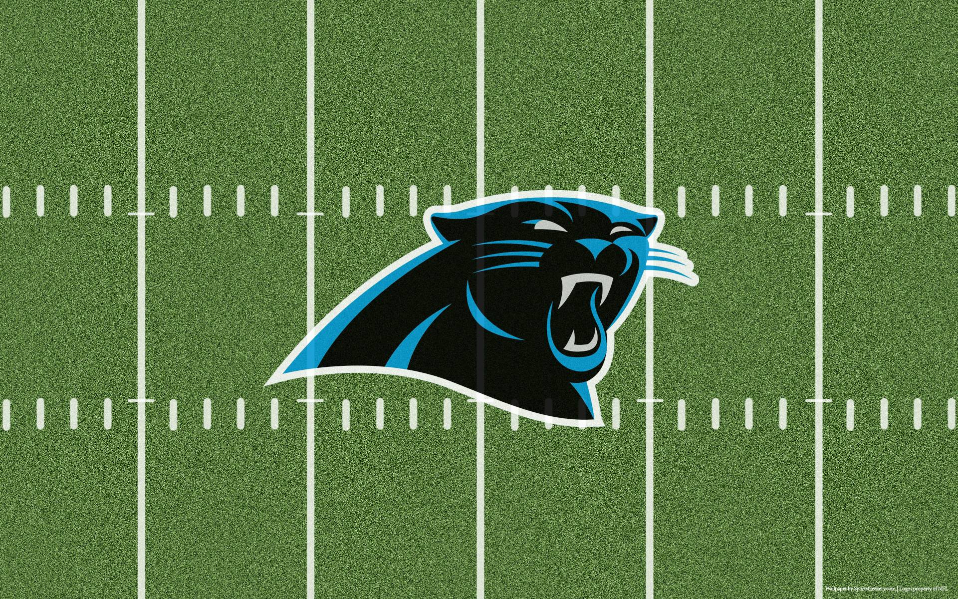 Carolina Panthers Wallpaper Hd Background Download - Logo Carolina Panthers Hd , HD Wallpaper & Backgrounds