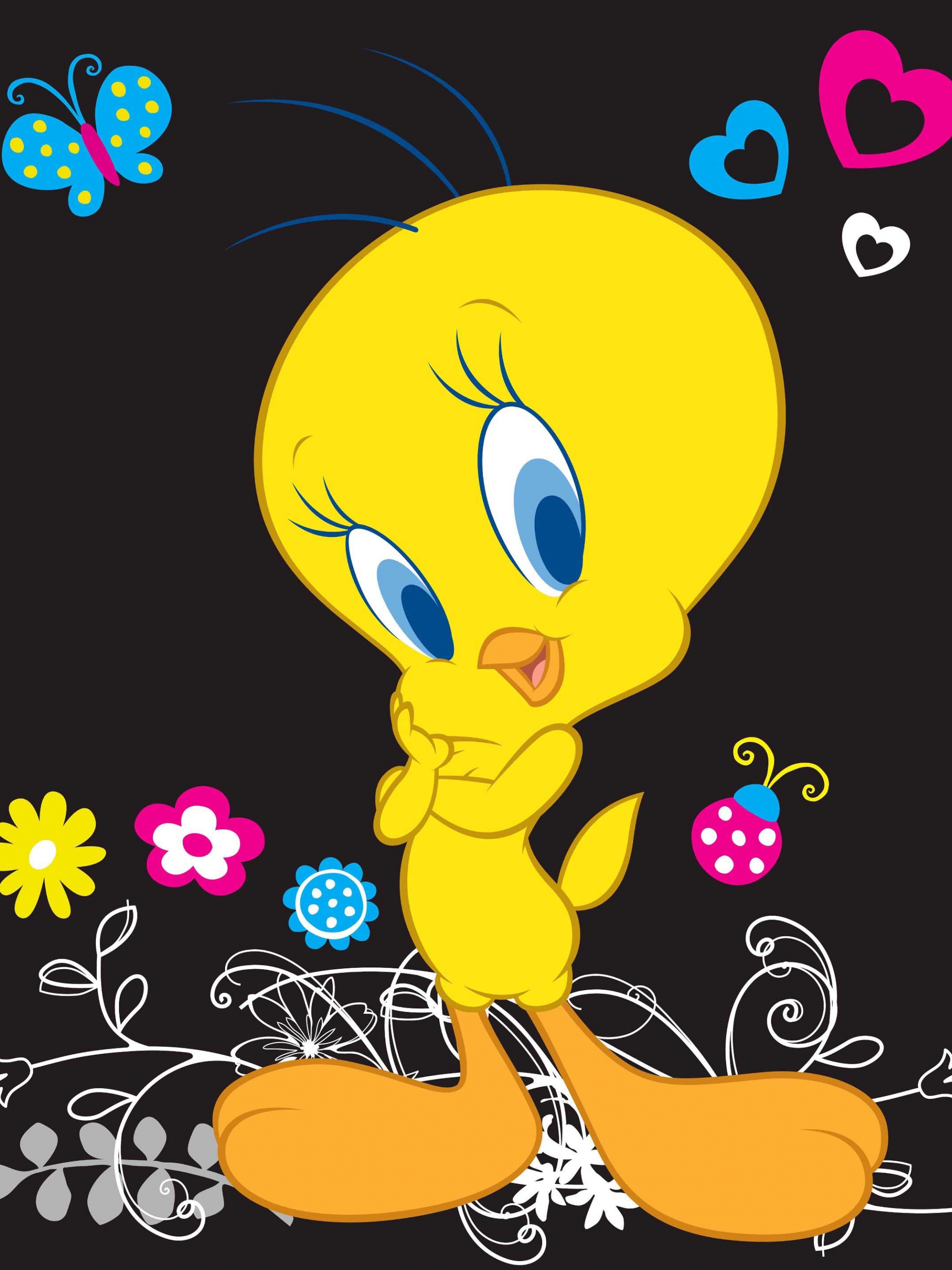 Tweety Bird Wallpapers And Screensavers - Tweety Bird , HD Wallpaper & Backgrounds