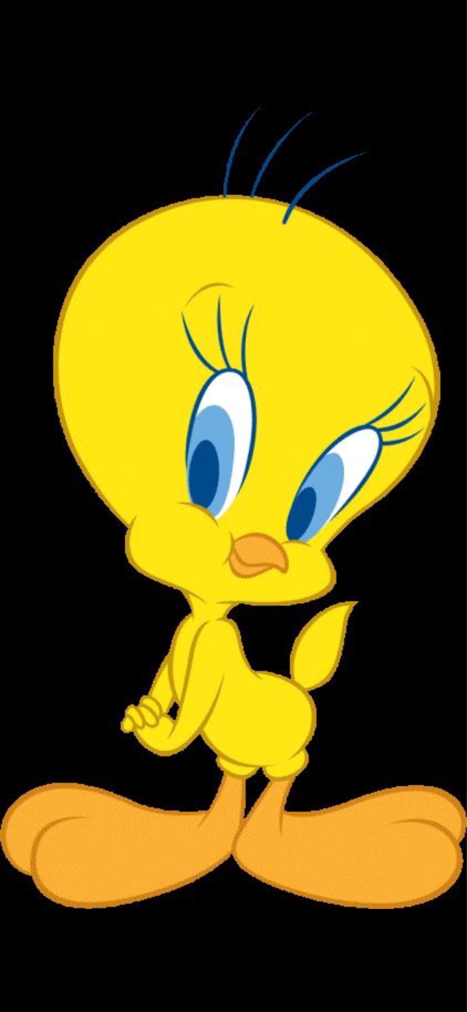Tweety Bird On Black Background - Animated Don T Worry Be Happy , HD Wallpaper & Backgrounds