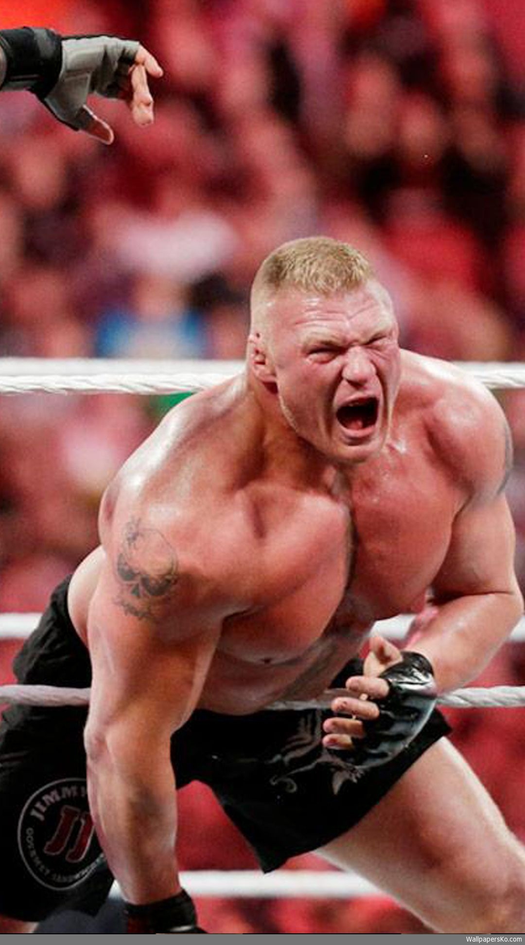 Brock Lesnar Hd Wallpaper Mobile - Brock Lesnar Versus Roman Reigns , HD Wallpaper & Backgrounds