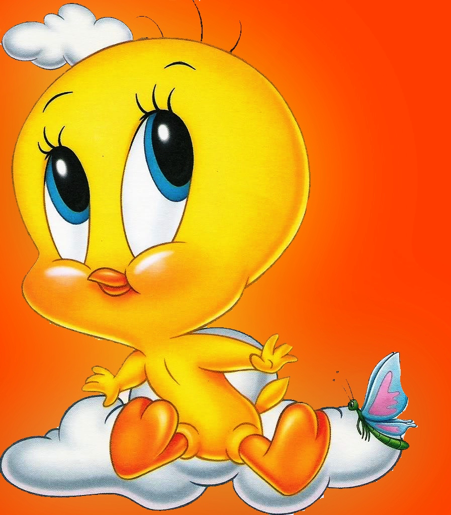 Cute Tweety Bird , HD Wallpaper & Backgrounds