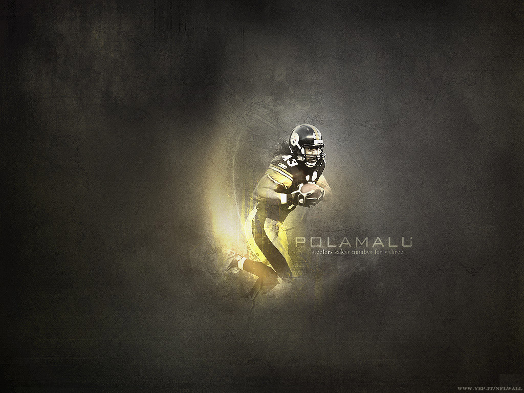 Polamalu Wallpaper, Steelers Wallpaper - Troy Polamalu , HD Wallpaper & Backgrounds