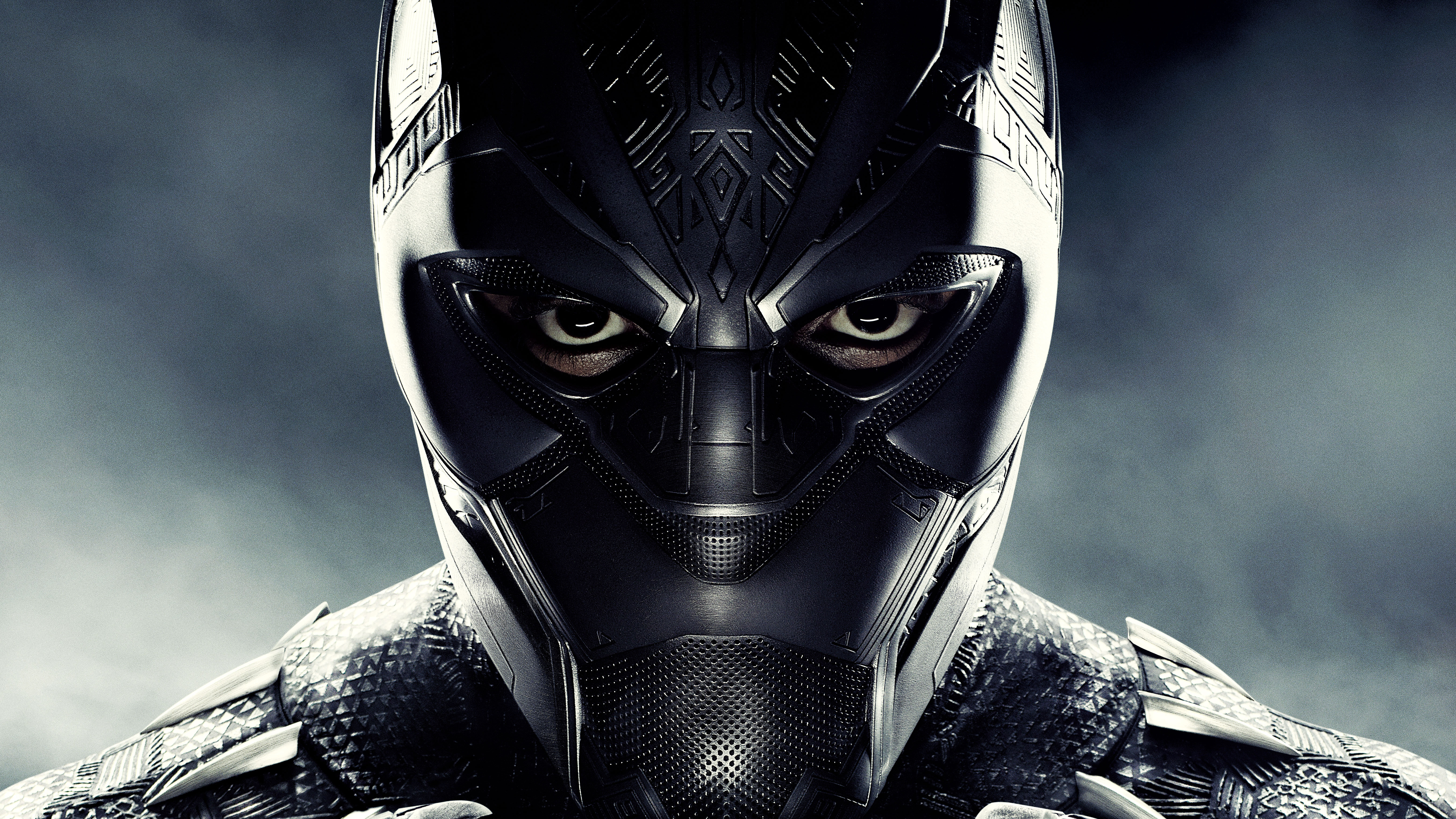 Black Panther Pics Hd , HD Wallpaper & Backgrounds