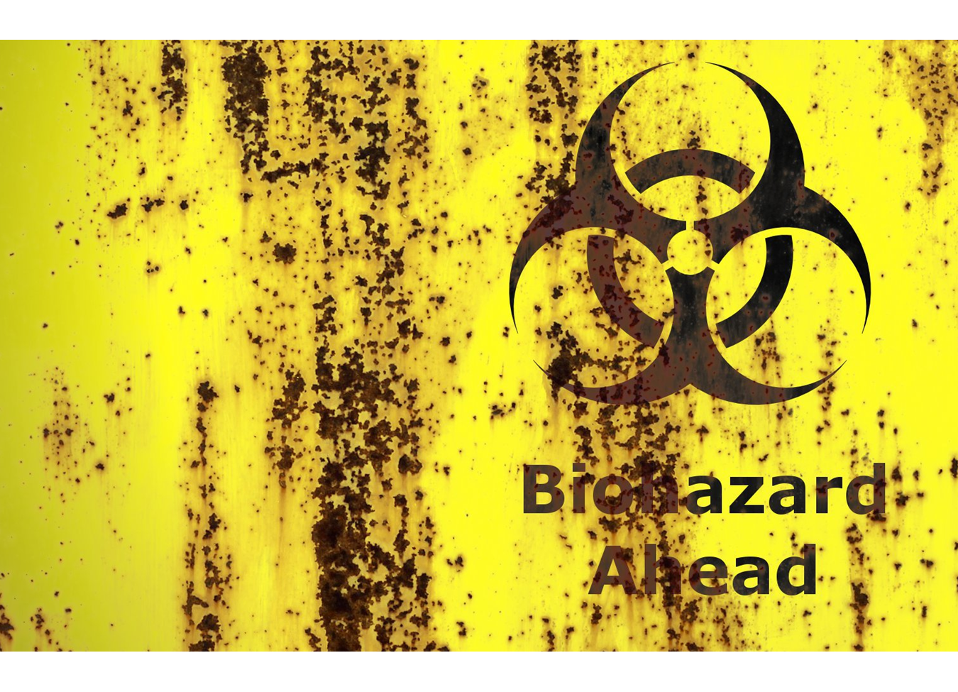 Bio Hazard , HD Wallpaper & Backgrounds
