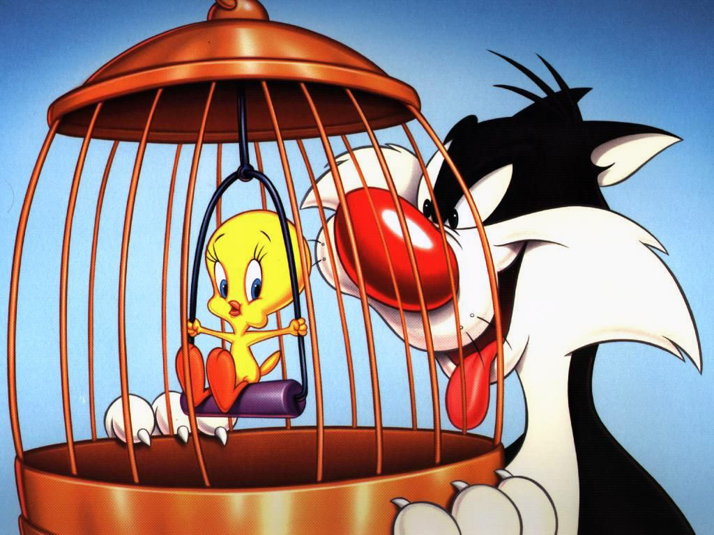 Tweety Bird Wallpaper - Thought I Saw A Puddy , HD Wallpaper & Backgrounds