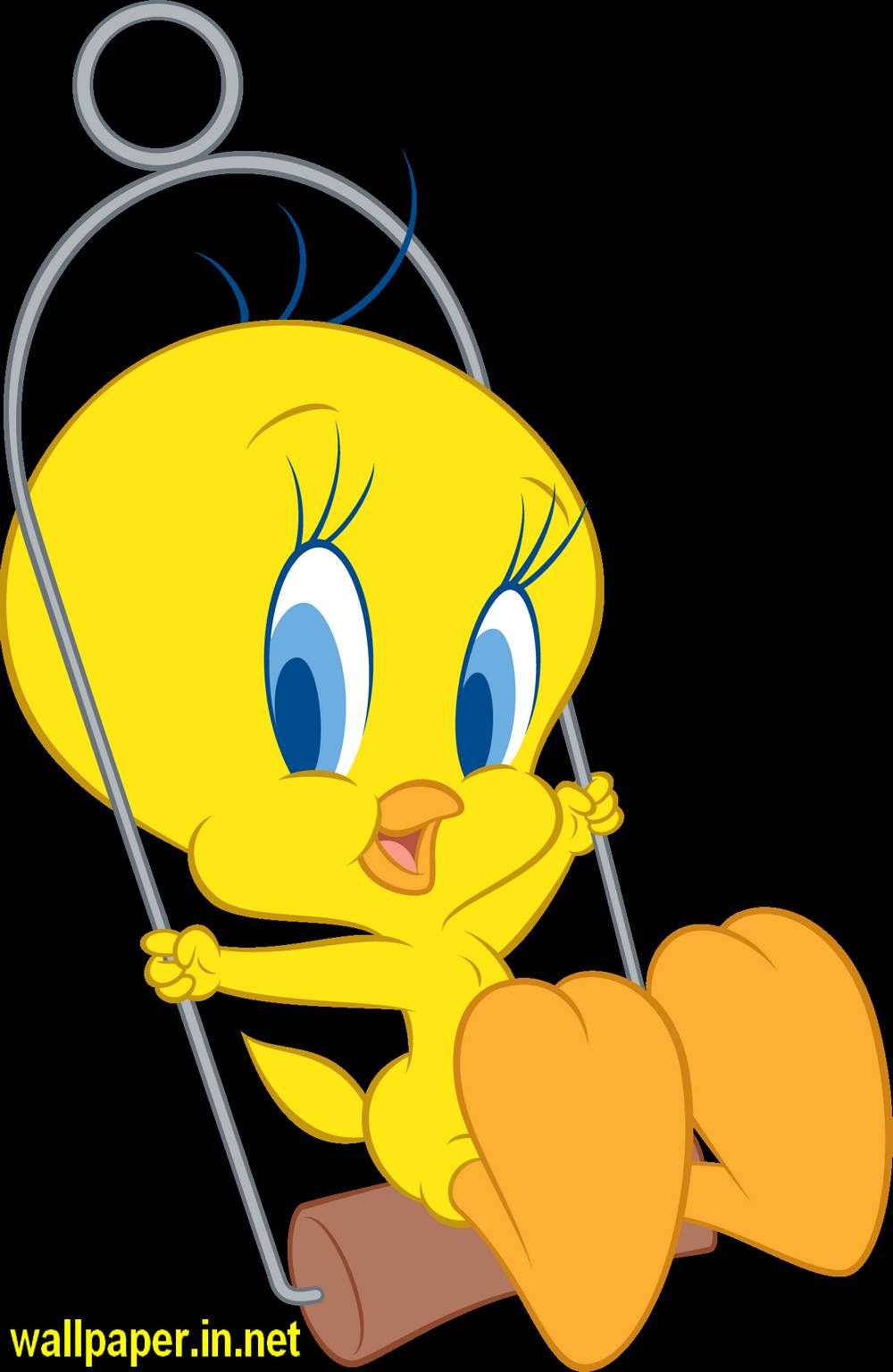 Cute Tweety Bird , HD Wallpaper & Backgrounds