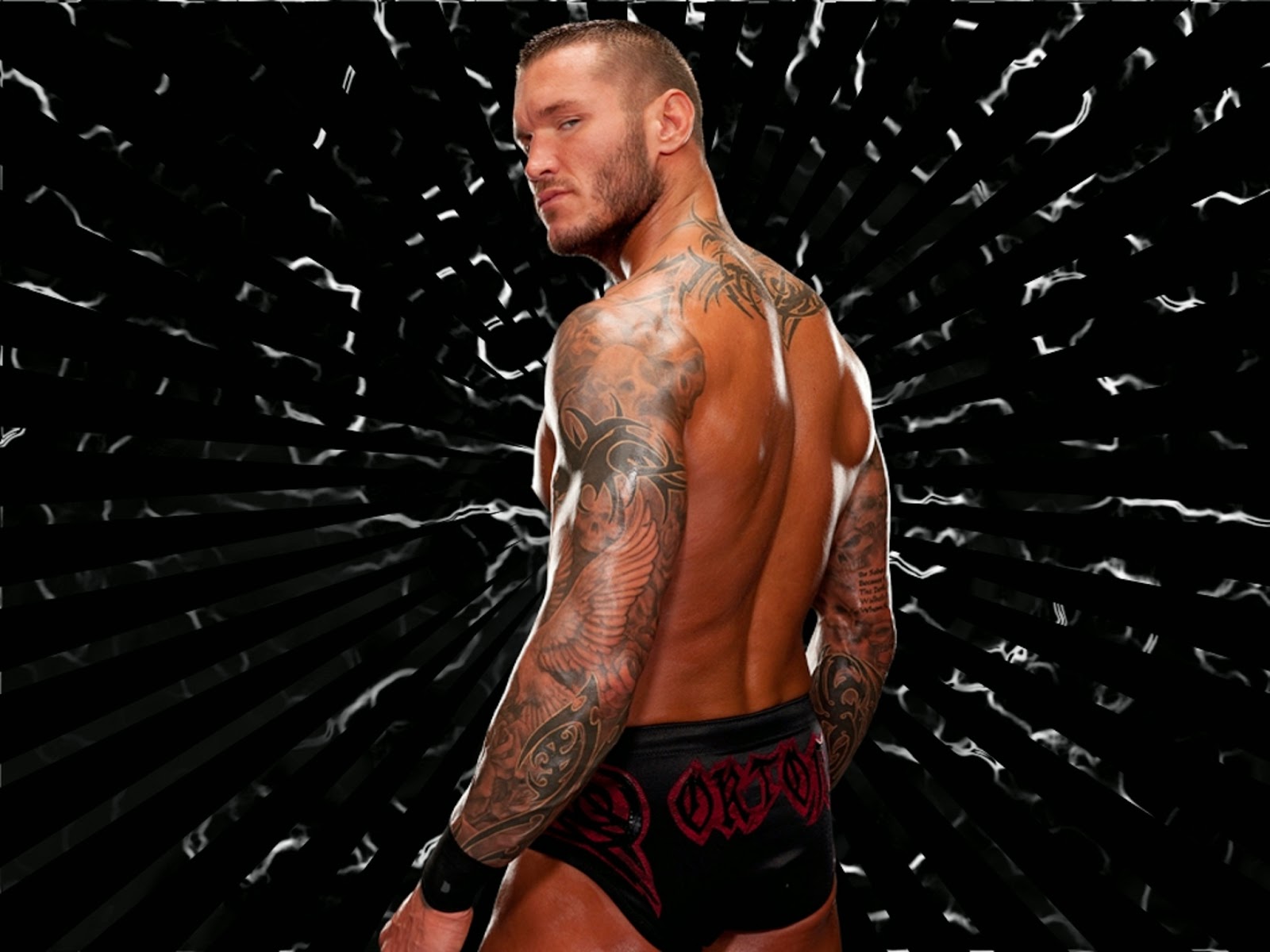 Wwe Randy Orton Wallpapers Group - Wwe Randy Orton Back , HD Wallpaper & Backgrounds