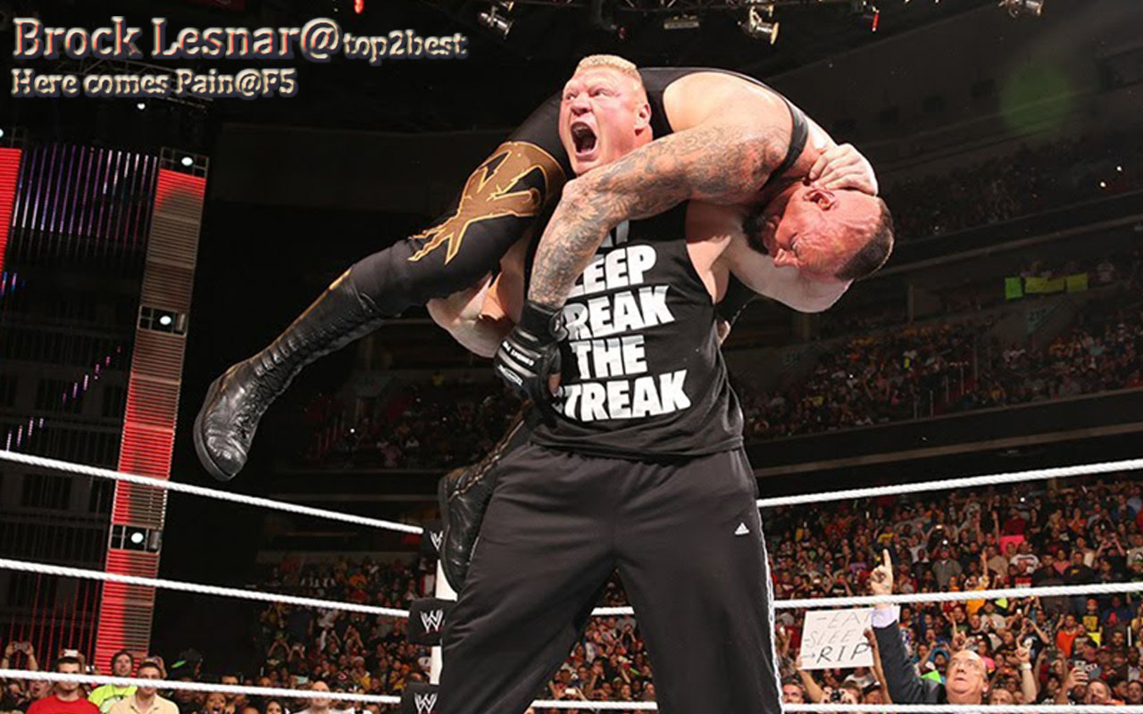 Brock Lesnar F5 Undertaker Photo - Top 5 Wwe Finisher , HD Wallpaper & Backgrounds