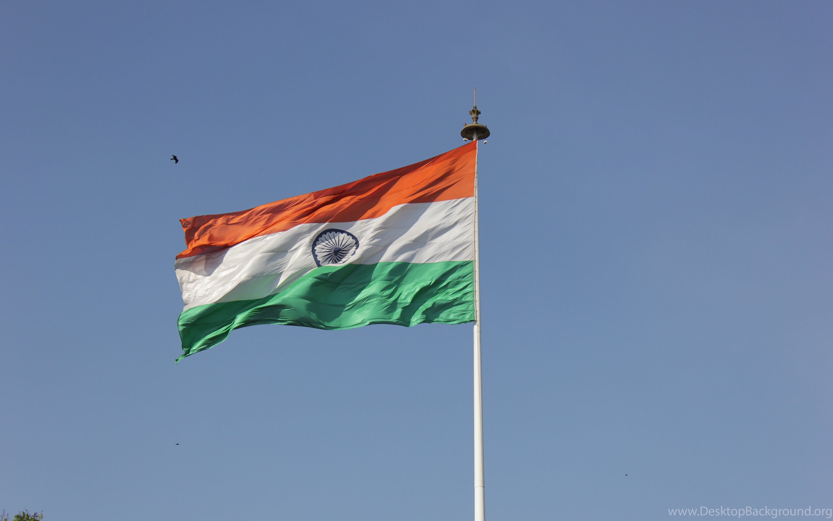 1080p Indian Flag Hd Wallpapers Free Hd Wallpapers - 1080p Indian Flag Hd , HD Wallpaper & Backgrounds