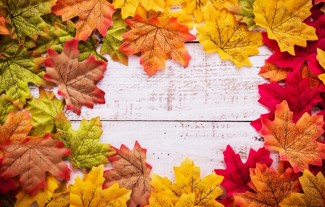 Photo Wallpaper Autumn, Leaves, Background, Tree, Wood, - Autumn Leaves On The Floor , HD Wallpaper & Backgrounds