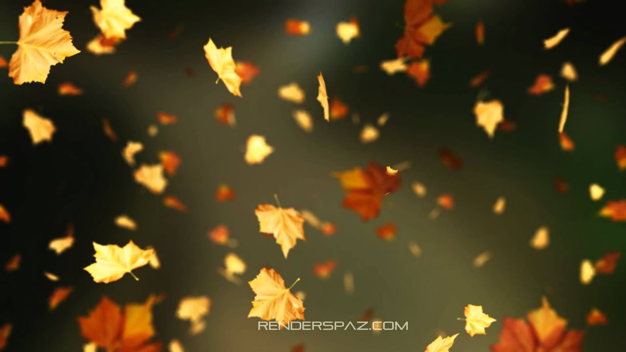 Fall Leaves Wallpaper - Autumn Leaves Falling Animation , HD Wallpaper & Backgrounds