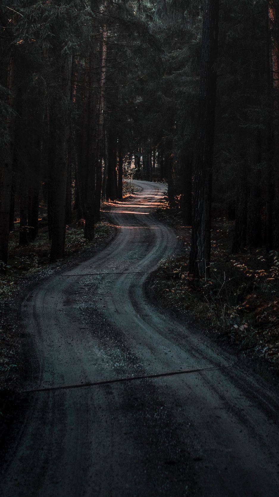 Wallpaper Forest Road Winding Dark Nature Dark Nature Wallpaper Iphone Hd Wallpaper Backgrounds Download