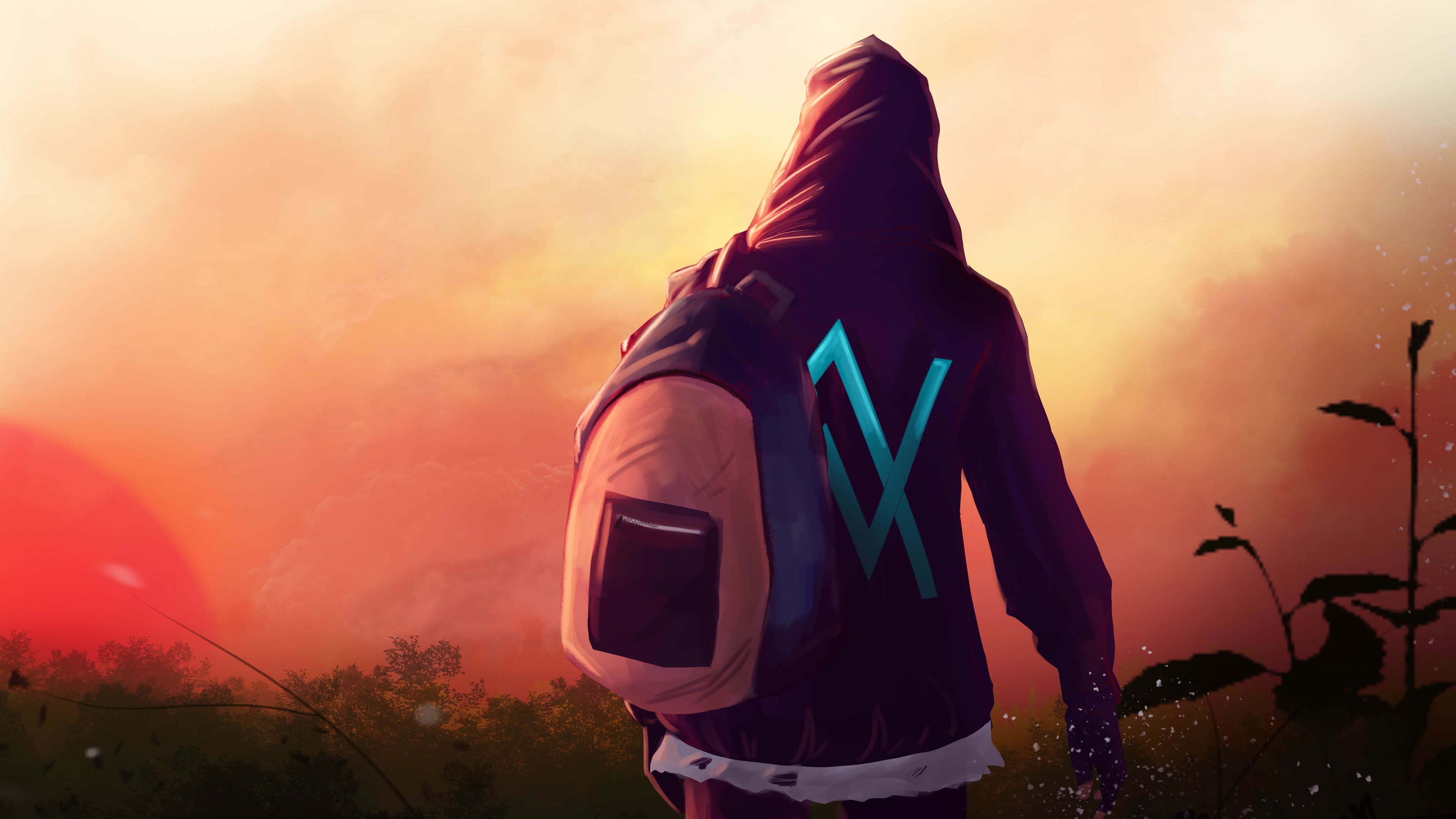 Alan Walker Wallpaper 4k , HD Wallpaper & Backgrounds