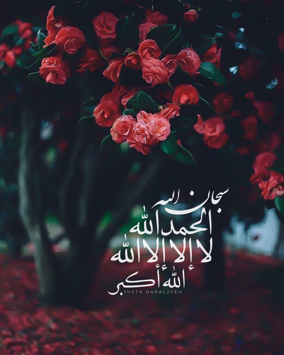 Life Quran Arabic Quotes , HD Wallpaper & Backgrounds