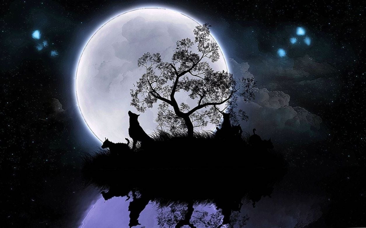 The Wolf And The Moon Wallpapers Hd Wolf Wallpapers - Wolf And Moon Wallpaper Hd , HD Wallpaper & Backgrounds