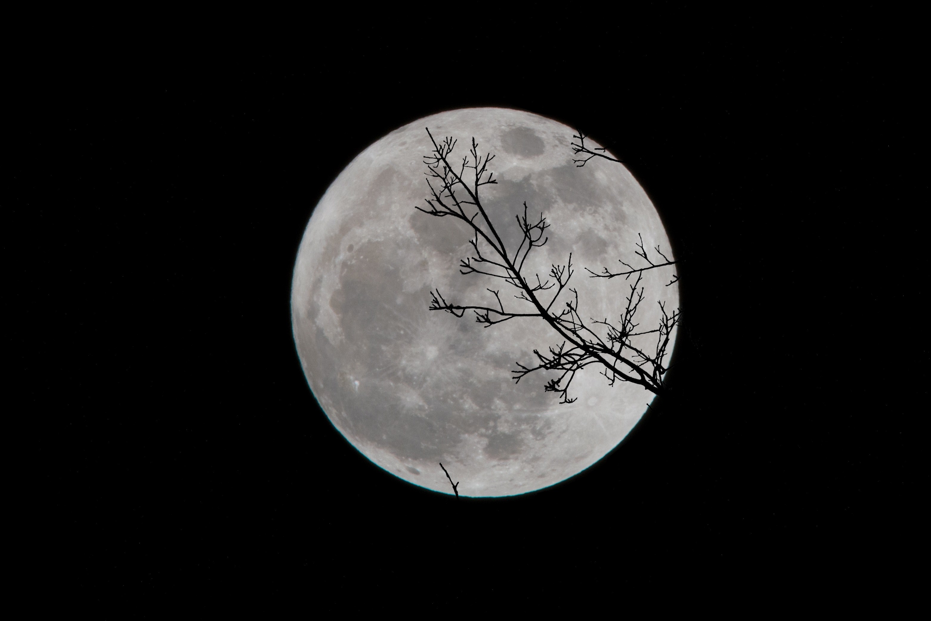 Best Photos Of Moon , HD Wallpaper & Backgrounds