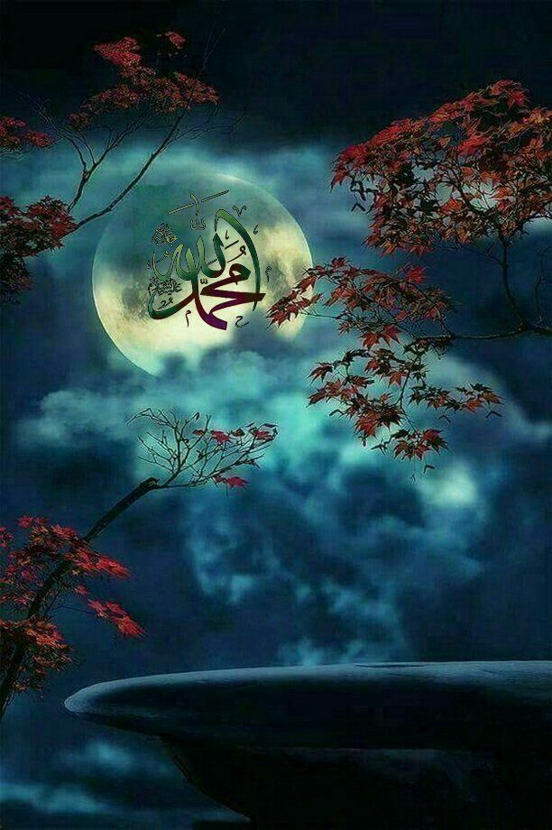 Good Night Beautiful Moon , HD Wallpaper & Backgrounds