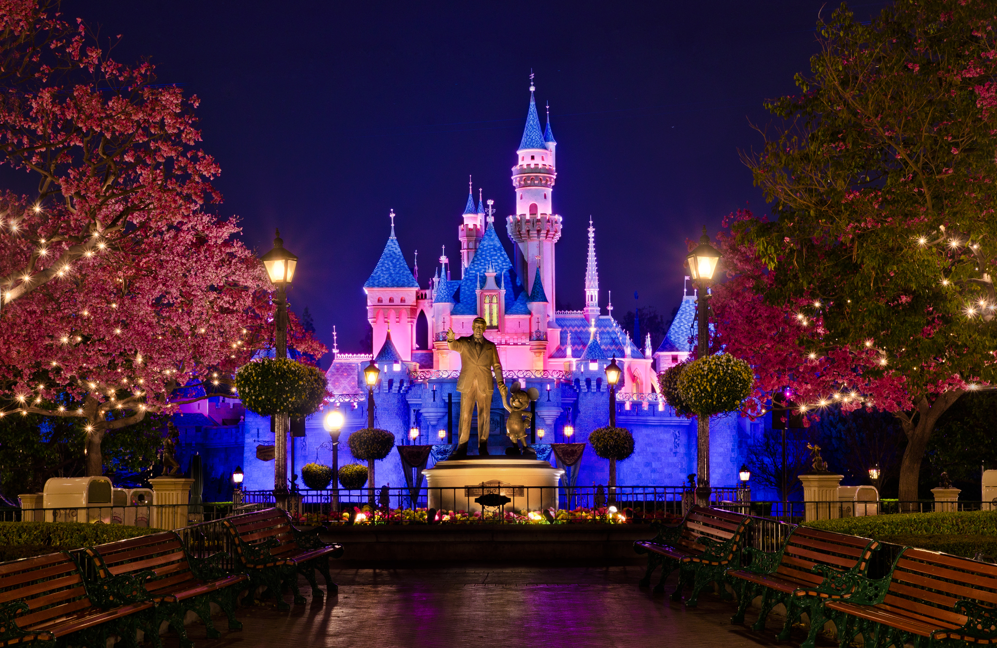 Disney Castle Hd Wallpapers - Disneyland California At Night , HD Wallpaper & Backgrounds