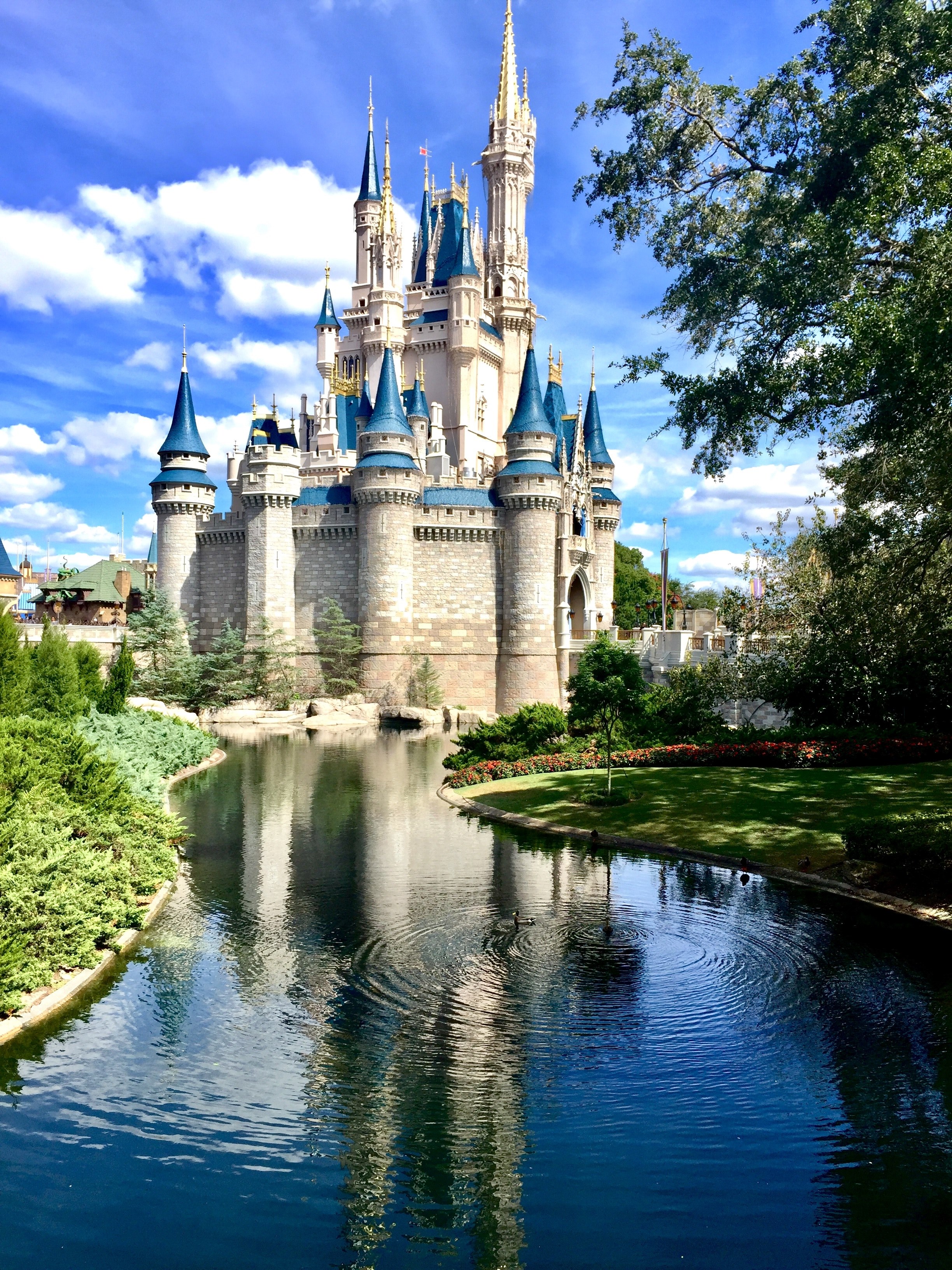 Disney World, Cinderella Castle , HD Wallpaper & Backgrounds