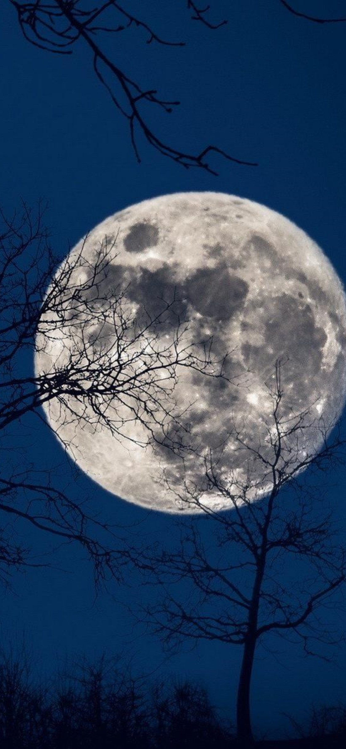 View Moon Wallpaper 4K Hd Gif