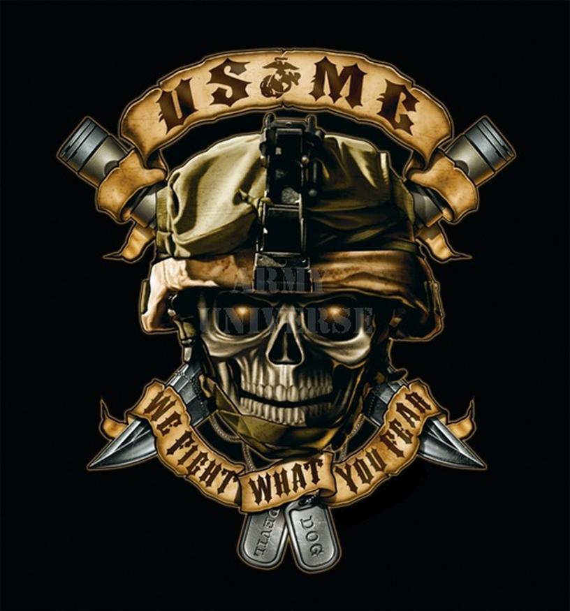 United States Marine Corps Wallpaper Desktop 1 - Marine Skull , HD Wallpaper & Backgrounds