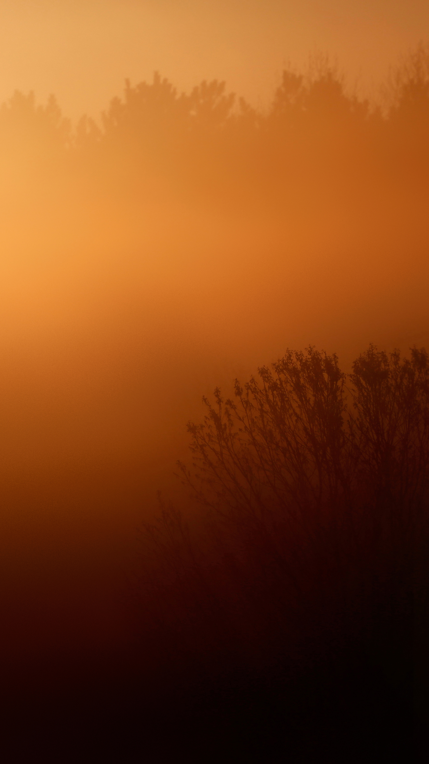 Foggy Sunrise Iphone , HD Wallpaper & Backgrounds