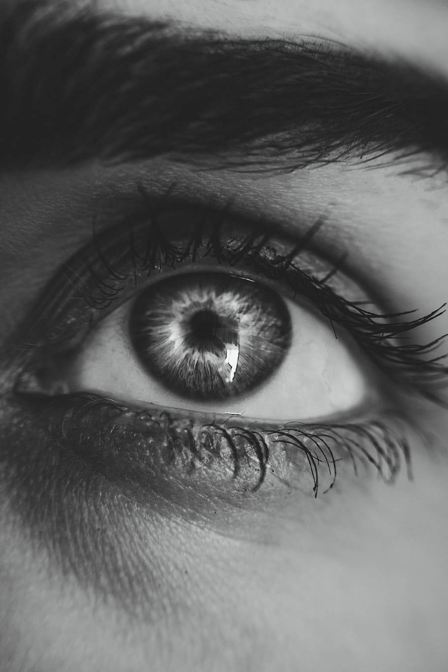 Grayscale Photography Of Left Person S Eye, Black And - Eye Photography Black And White , HD Wallpaper & Backgrounds