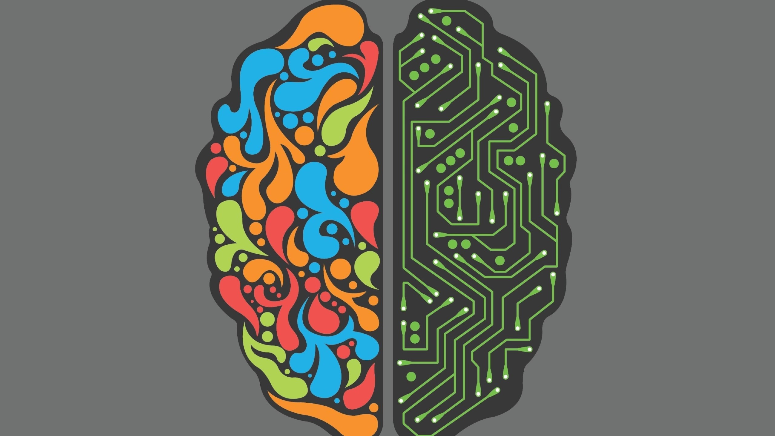 System 1 And 2 Brain , HD Wallpaper & Backgrounds