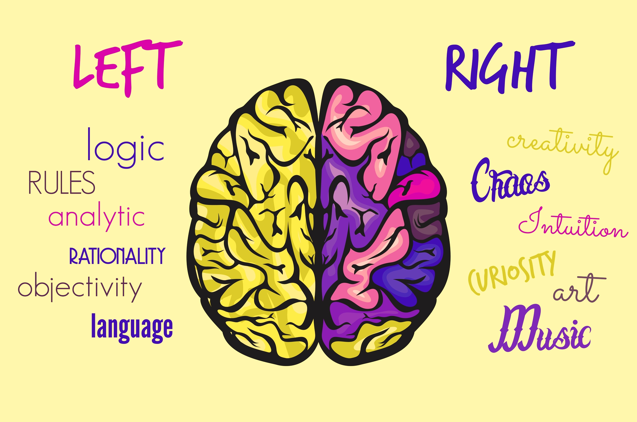 Left Brain Right Brain Wallpaper Download - Brain Work , HD Wallpaper & Backgrounds