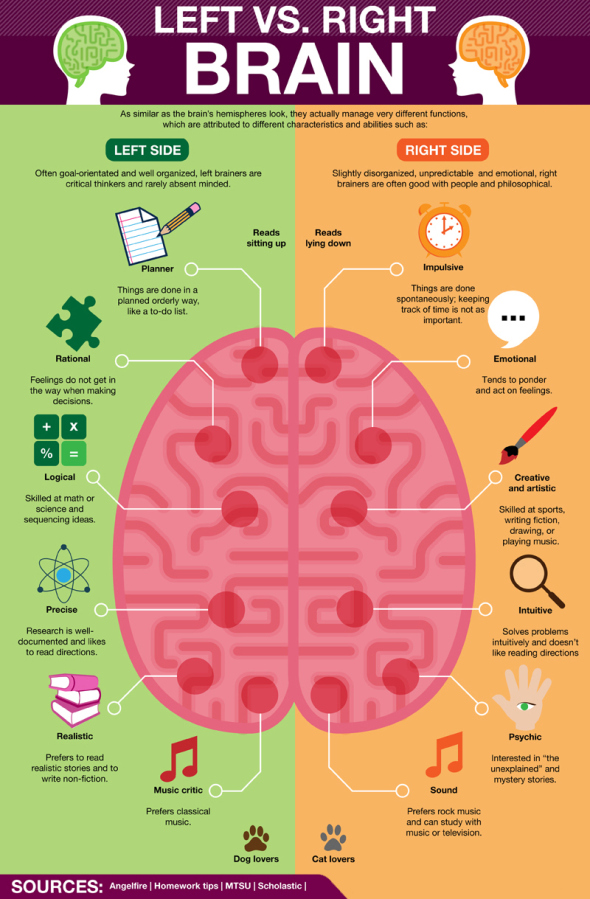 Left Right Brain Wallpaper - Right Brain Vs Left Brain Dominant , HD Wallpaper & Backgrounds