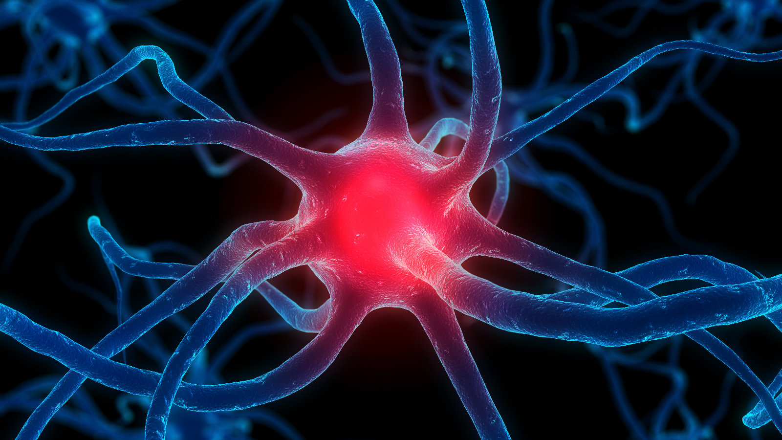 Neurons In The Brain Wallpaper - Physiological Disease In Humans , HD Wallpaper & Backgrounds