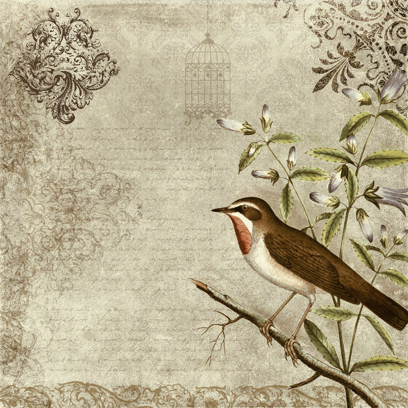 Birds Wallpaper Photos Vintage Bird Wallpaper - Vintage Bird , HD Wallpaper & Backgrounds