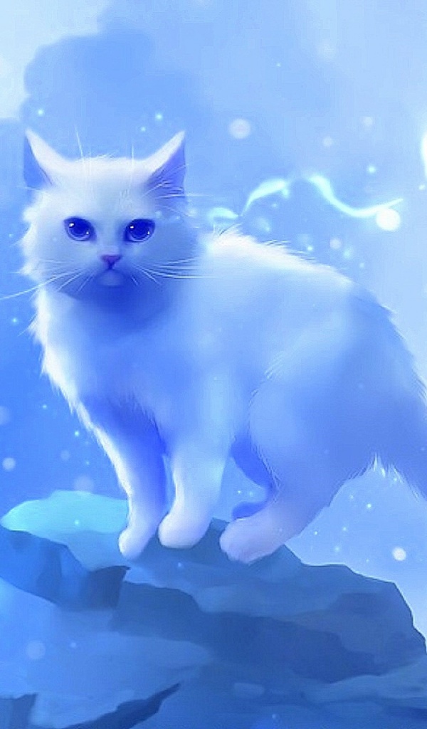 Cute Wallpaper Galaxy Cats , HD Wallpaper & Backgrounds