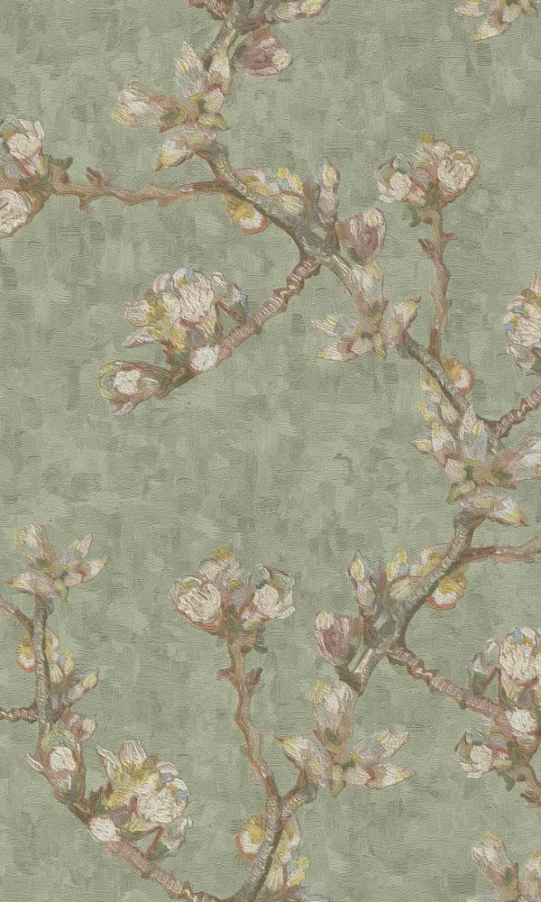 Sage Green , HD Wallpaper & Backgrounds